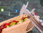 Calories in calories out equation